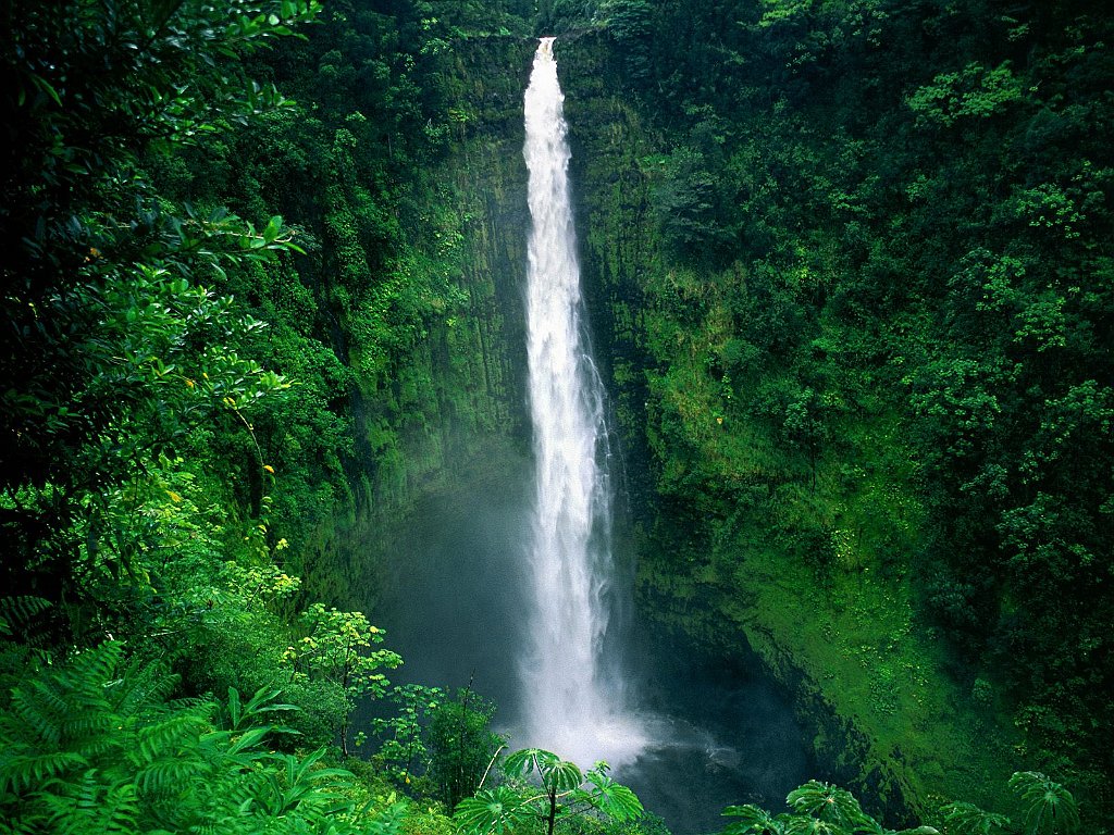 Akaka Falls, Big Island, Hawaii